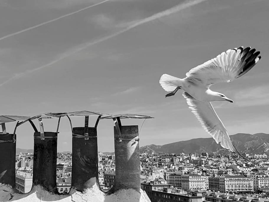 Superbe Appart, Central, Petit Balcon & Vue Place Marseille Luaran gambar